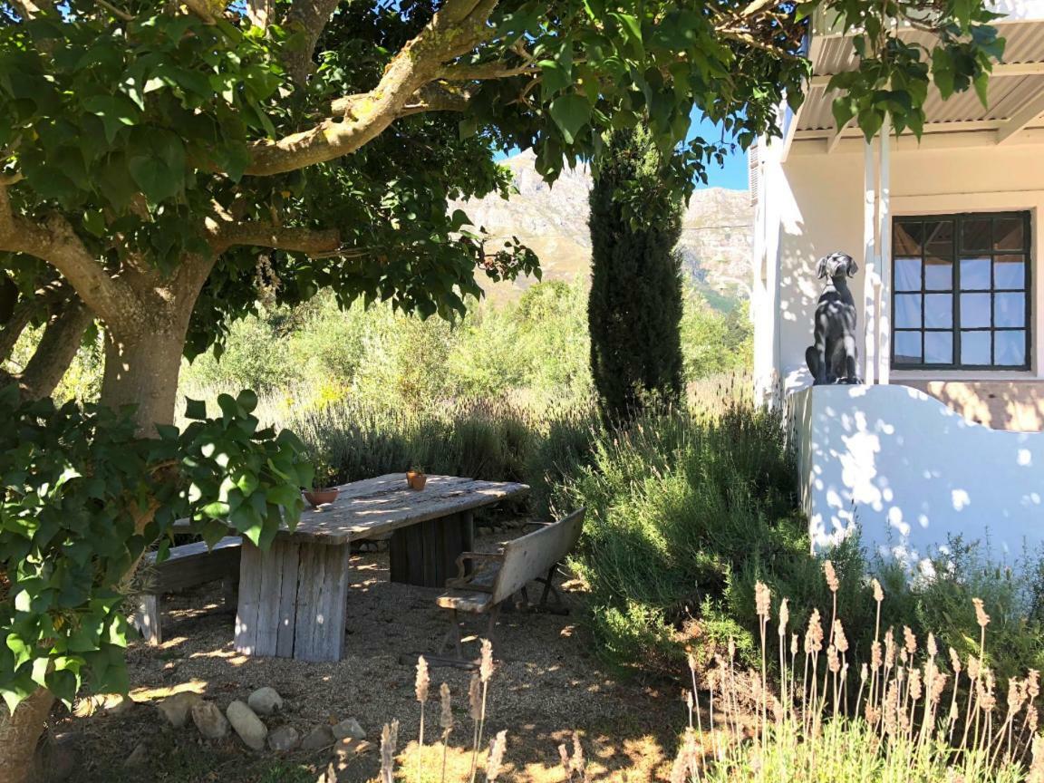 Designer Farm Cottage On Farm Franschhoek Exterior photo